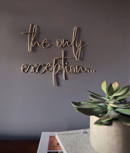 the only exception... - Wire wall art